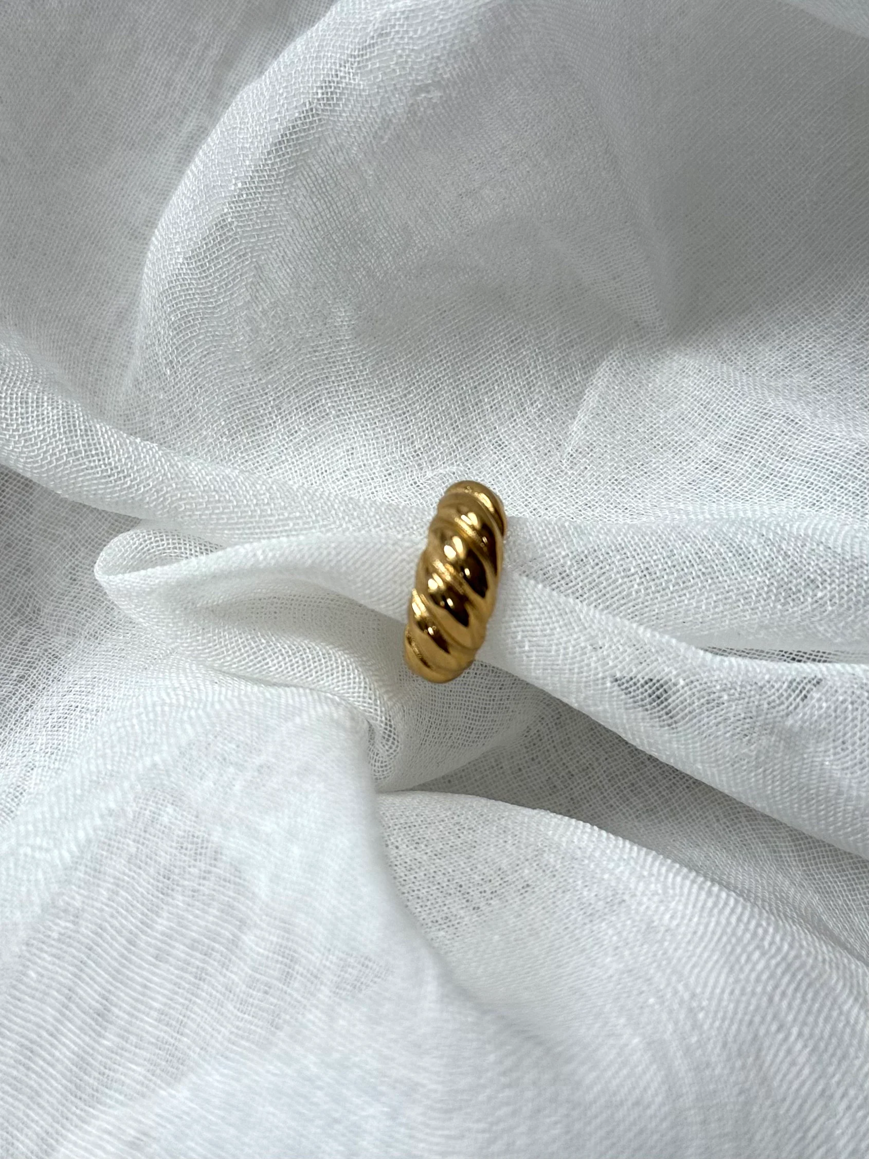 Ring león